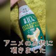 ヒメ日記 2025/12/29 19:25 投稿 つばさ 奥鉄オクテツ大阪