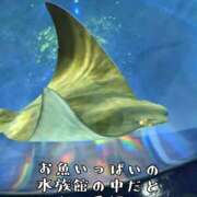 ヒメ日記 2026/02/07 16:35 投稿 つばさ 奥鉄オクテツ大阪