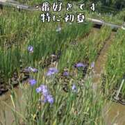 ヒメ日記 2026/02/09 11:45 投稿 つばさ 奥鉄オクテツ大阪