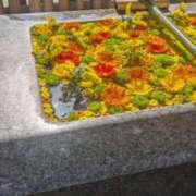 つばさ 珈琲浴びた貴方様 奥鉄オクテツ大阪