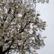 ヒメ日記 2026/03/30 10:45 投稿 つばさ 奥鉄オクテツ大阪