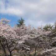 ヒメ日記 2026/04/03 13:55 投稿 つばさ 奥鉄オクテツ大阪