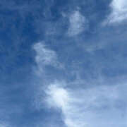 ヒメ日記 2025/04/05 05:47 投稿 このか ハピネス東京