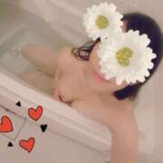 ヒメ日記 2025/10/16 07:59 投稿 椿(つばき) チューリップ宇都宮店