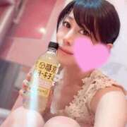 椿(つばき) すっっっ チューリップ宇都宮店