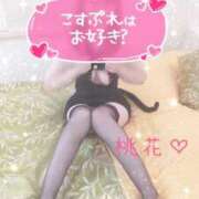 ヒメ日記 2025/04/30 18:27 投稿 桃花(ももか) DAHLIA(ダリア)