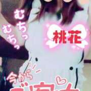 ヒメ日記 2025/05/18 09:50 投稿 桃花(ももか) DAHLIA(ダリア)