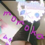 ヒメ日記 2025/05/20 18:10 投稿 桃花(ももか) DAHLIA(ダリア)