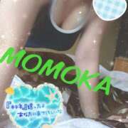 ヒメ日記 2025/05/26 12:06 投稿 桃花(ももか) DAHLIA(ダリア)