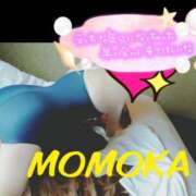 ヒメ日記 2025/06/06 10:12 投稿 桃花(ももか) DAHLIA(ダリア)