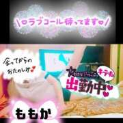 ヒメ日記 2025/09/11 10:18 投稿 桃花(ももか) DAHLIA(ダリア)