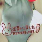 ヒメ日記 2025/09/17 10:27 投稿 桃花(ももか) DAHLIA(ダリア)