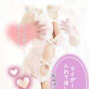 ヒメ日記 2025/09/30 10:11 投稿 桃花(ももか) DAHLIA(ダリア)