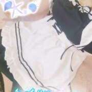 ヒメ日記 2025/10/01 09:43 投稿 桃花(ももか) DAHLIA(ダリア)