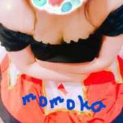 ヒメ日記 2025/10/03 11:52 投稿 桃花(ももか) DAHLIA(ダリア)