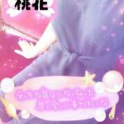 ヒメ日記 2025/10/16 09:52 投稿 桃花(ももか) DAHLIA(ダリア)