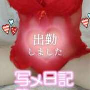 ヒメ日記 2025/11/12 10:07 投稿 桃花(ももか) DAHLIA(ダリア)