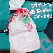 ヒメ日記 2025/12/30 20:18 投稿 桃花(ももか) DAHLIA(ダリア)