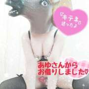 ヒメ日記 2026/01/09 08:15 投稿 桃花(ももか) DAHLIA(ダリア)