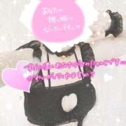 ヒメ日記 2026/01/15 09:30 投稿 桃花(ももか) DAHLIA(ダリア)