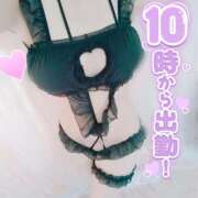 ヒメ日記 2026/03/06 10:02 投稿 桃花(ももか) DAHLIA(ダリア)