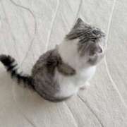 ヒメ日記 2025/02/24 18:18 投稿 リリス ピンクコレクション大阪