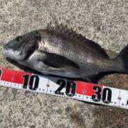 ヒメ日記 2025/03/29 13:25 投稿 リリス ピンクコレクション尼崎店