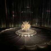 ヒメ日記 2026/02/11 15:15 投稿 リリス ピンクコレクション尼崎店