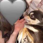 ヒメ日記 2025/04/11 13:05 投稿 リリス ピンクコレクション大阪キタ店