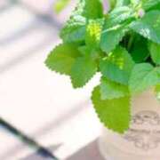 ヒメ日記 2025/03/06 10:27 投稿 ユリア CLASSY（クラッシー）.神戸