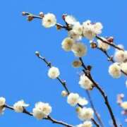 ヒメ日記 2025/03/13 09:06 投稿 ユリア CLASSY（クラッシー）.神戸