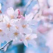 ヒメ日記 2025/04/01 10:29 投稿 ユリア CLASSY（クラッシー）.神戸