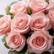 ヒメ日記 2025/05/15 09:01 投稿 ユリア CLASSY（クラッシー）.神戸