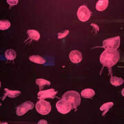 ヒメ日記 2025/04/30 18:12 投稿 さとみ ハピネス札幌