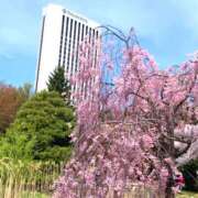 ヒメ日記 2025/05/06 10:59 投稿 さとみ ハピネス札幌