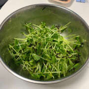 ヒメ日記 2025/08/15 21:19 投稿 さとみ ハピネス札幌