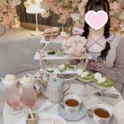 ヒメ日記 2025/04/20 20:18 投稿 サクラ 飾窓