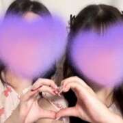 ヒメ日記 2025/05/12 14:57 投稿 サクラ 飾窓