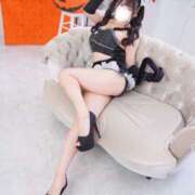 サクラ 🐈‍⬛🐾 飾窓