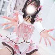 ヒメ日記 2026/02/11 10:00 投稿 サクラ 飾窓