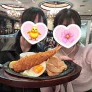 サクラ いっぱい食べたよ😻 飾窓