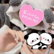 ヒメ日記 2025/04/25 10:21 投稿 ちか One More 奥様　西船橋店