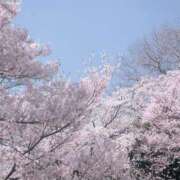 なぎ【欲しがり美少女アイドル】 ここ数日の話 どMばすたーず 群馬 高崎店