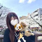 ヒメ日記 2025/04/12 19:34 投稿 叶芽うらら HYPER TOKYO