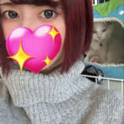 ヒメ日記 2025/05/20 08:35 投稿 ぐみ オズ 千葉栄町店