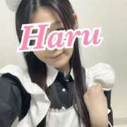 ヒメ日記 2025/03/31 14:27 投稿 はる 素人オナクラGラボ 日暮里店