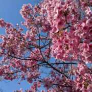 ヒメ日記 2025/03/15 20:40 投稿 つばさ 奥鉄オクテツ奈良