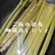 ヒメ日記 2025/03/17 16:50 投稿 つばさ 奥鉄オクテツ奈良