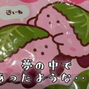 ヒメ日記 2025/04/11 19:15 投稿 つばさ 奥鉄オクテツ奈良