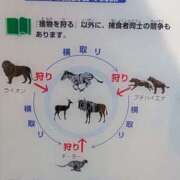ヒメ日記 2025/04/20 12:25 投稿 つばさ 奥鉄オクテツ奈良